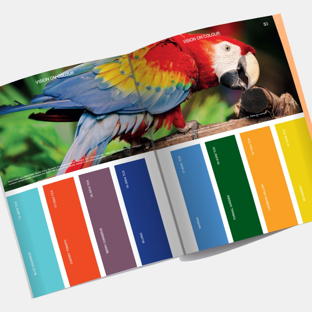 VIEWPOINT Colour Issue 14 - Human Nature