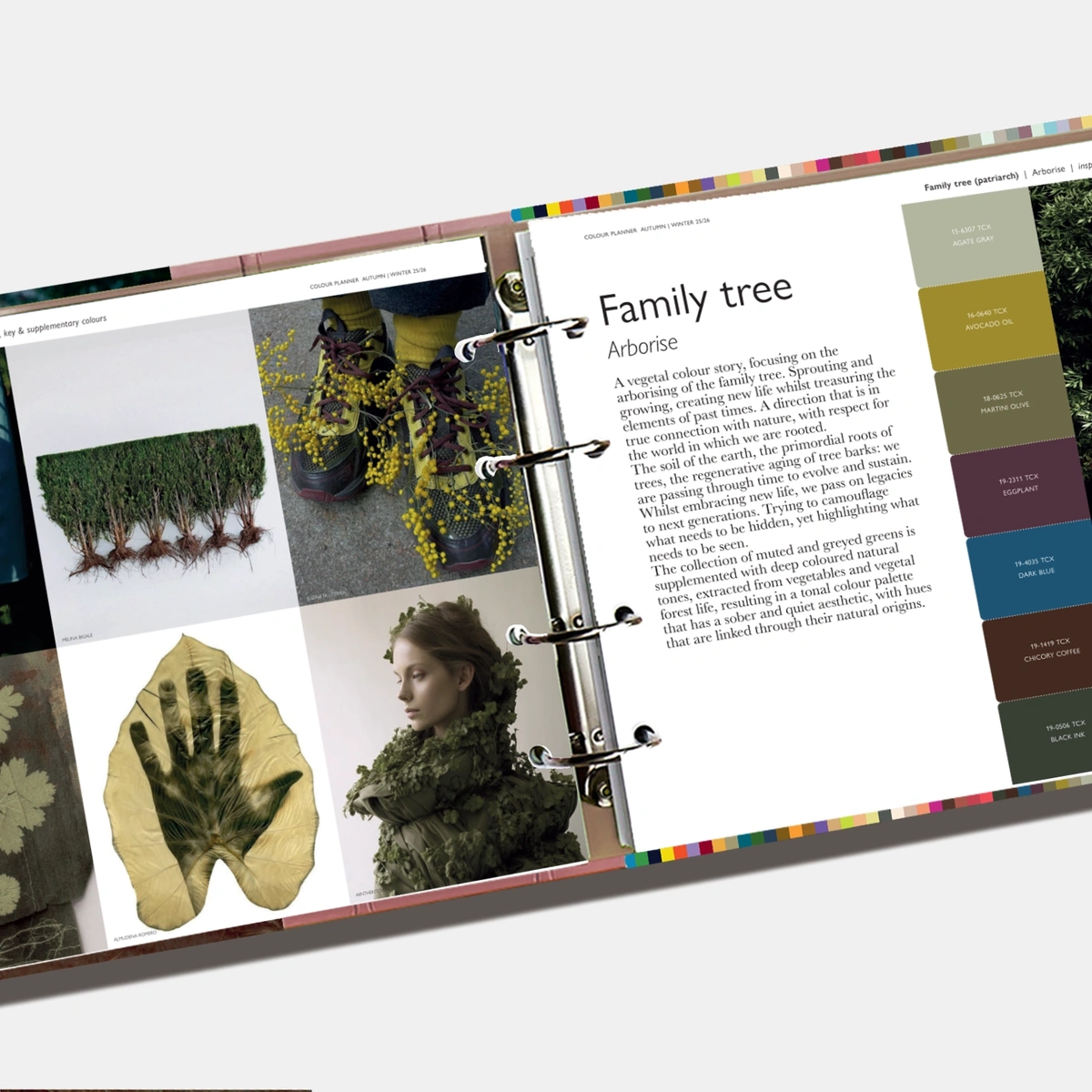 PANTONEVIEW Colour Planner Autumn/Winter 25/26