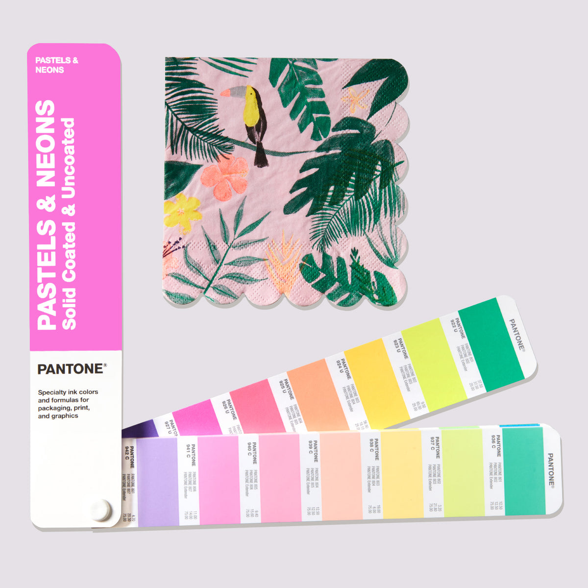 Pastels &amp; Neons Guide - Coated &amp; Uncoated