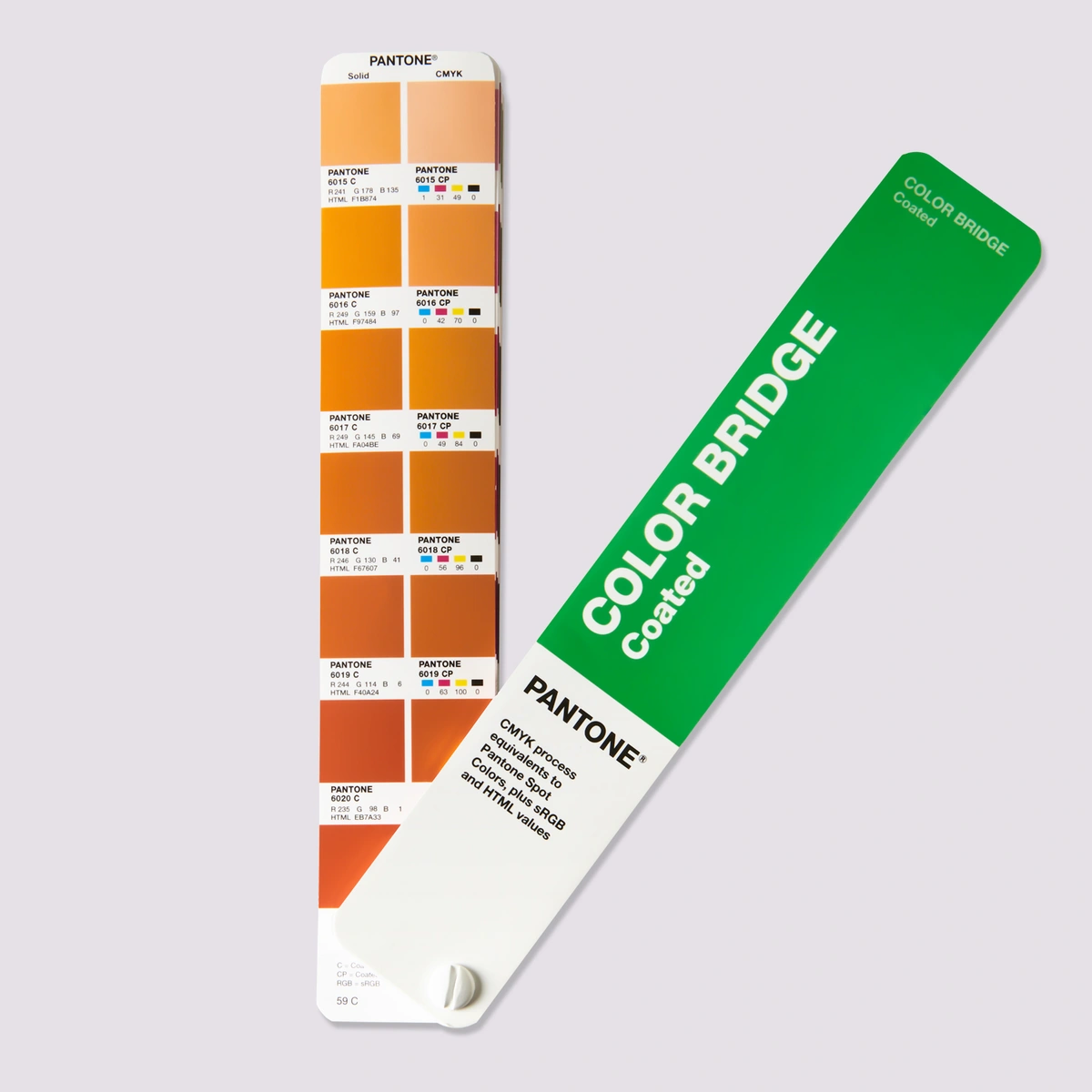 New Edition Color Bridge Coated