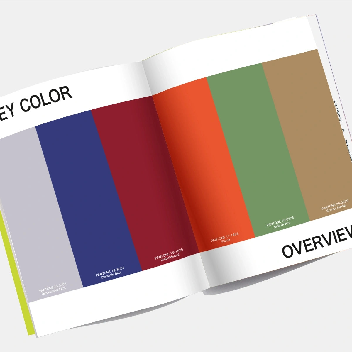 VIEWPOINT COLOUR Issue 19 - FOOTBALL