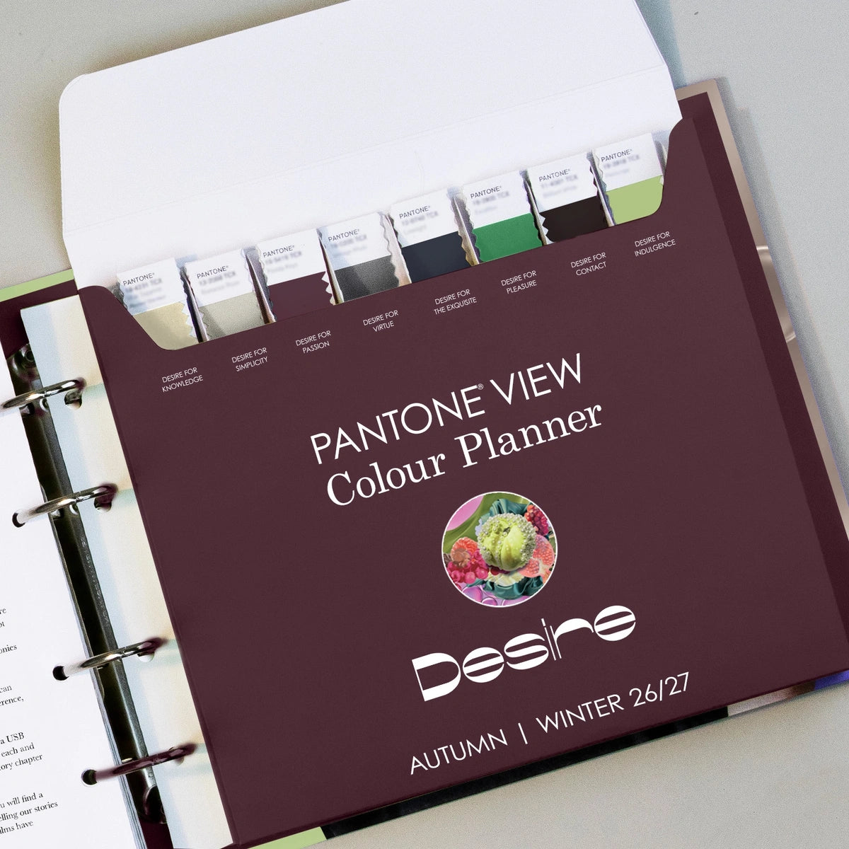 PANTONEVIEW Colour Planner Autumn/Winter 26/27 (Pre-Order Now)