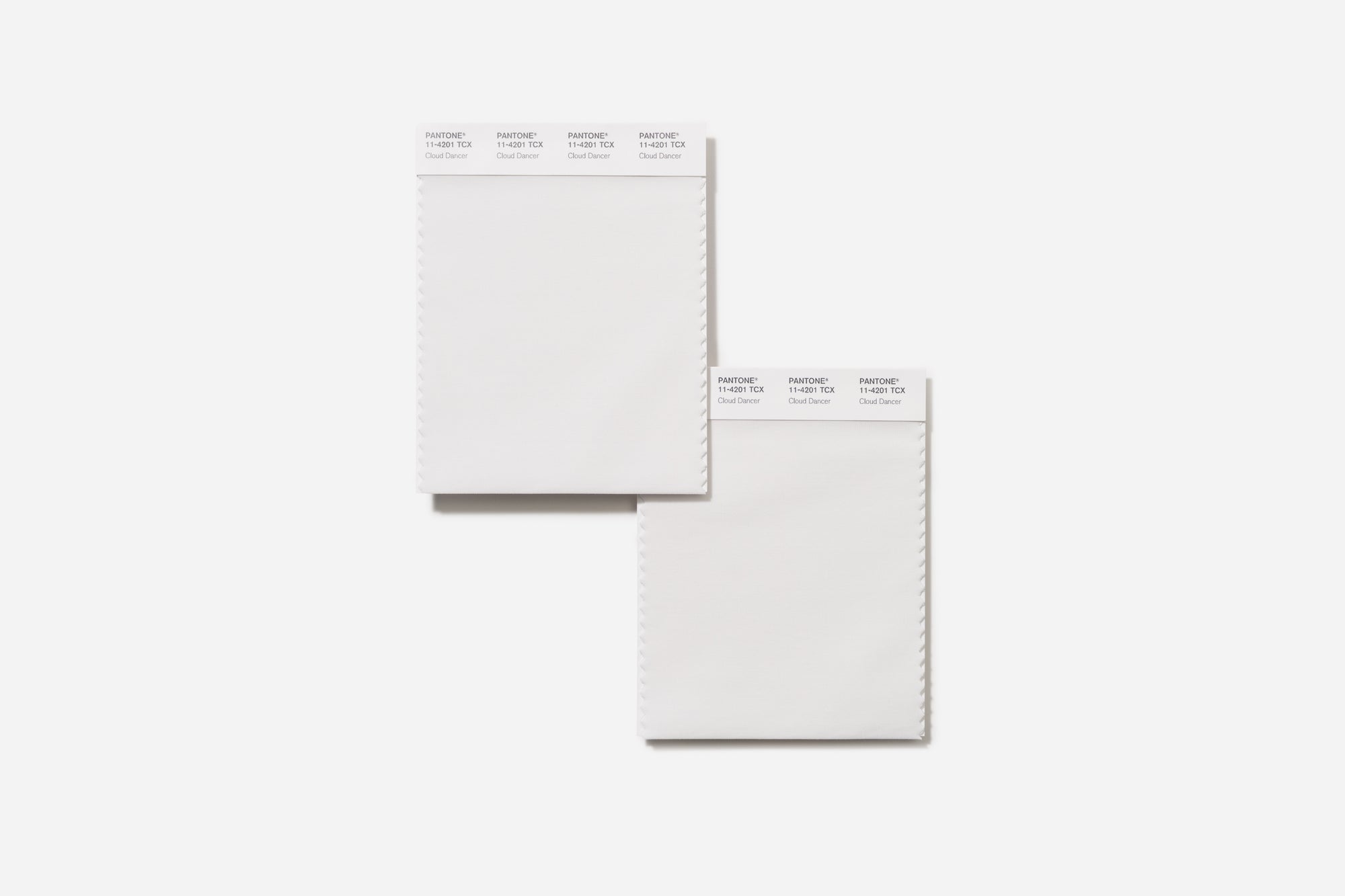 Cotton Swatch cards - Cloud Dancer (11-4201X) (Pre-Order Now)