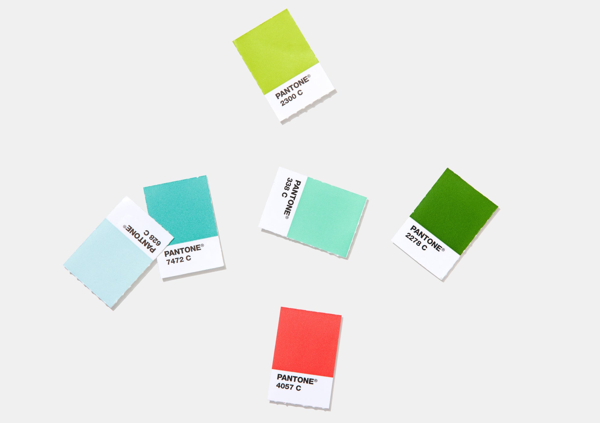 New Edition Solid Chips Set - Coated/Uncoated