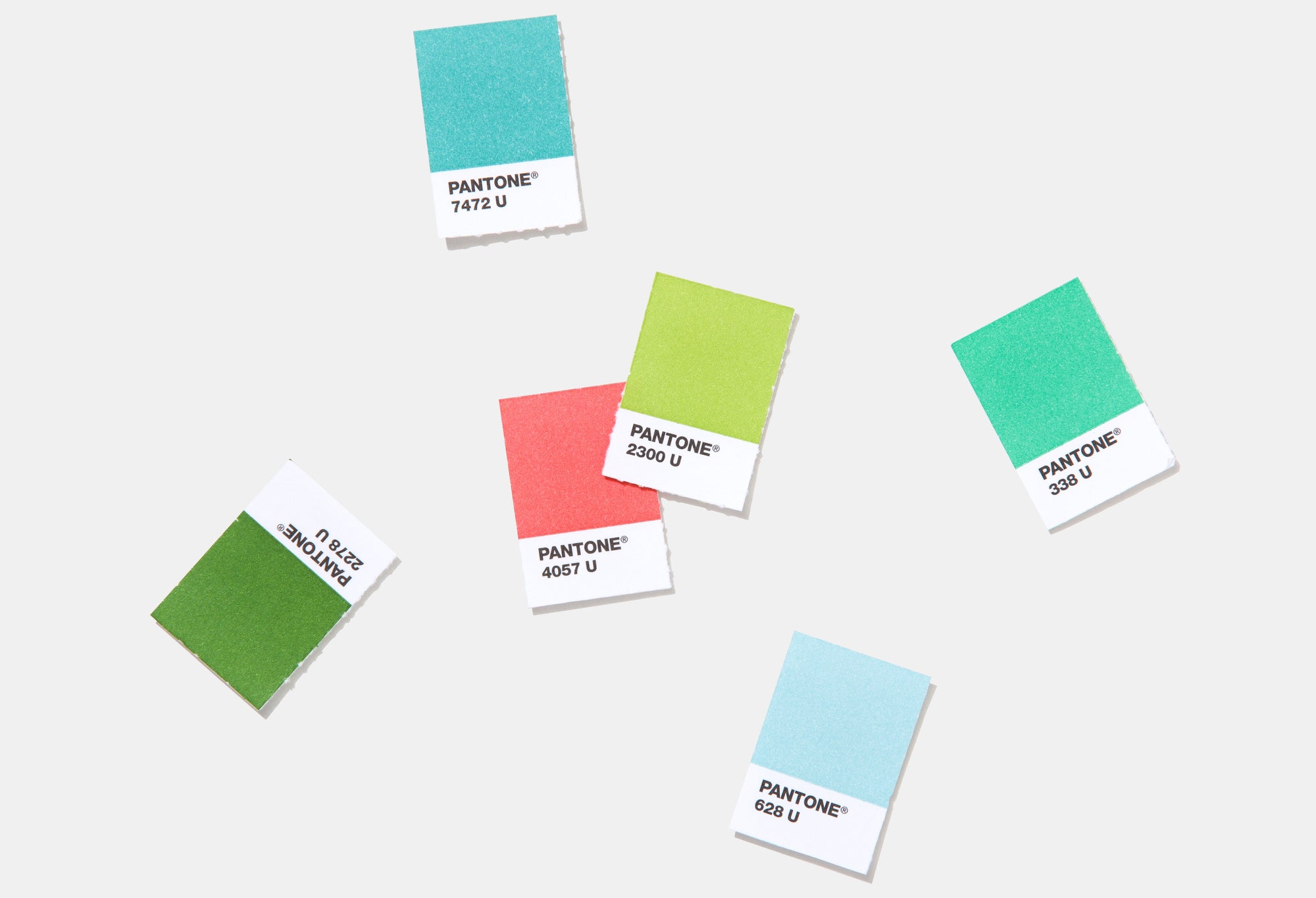 New Edition Solid Chips Set - Coated/Uncoated
