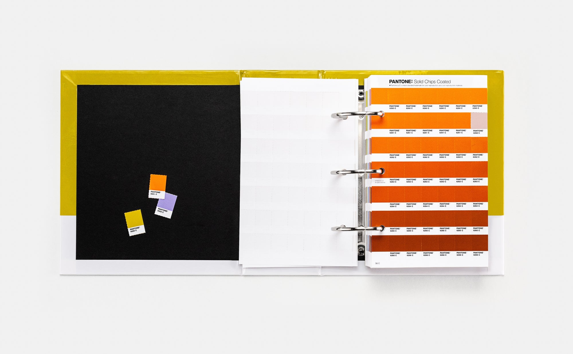 New Edition Solid Chips Set - Coated/Uncoated