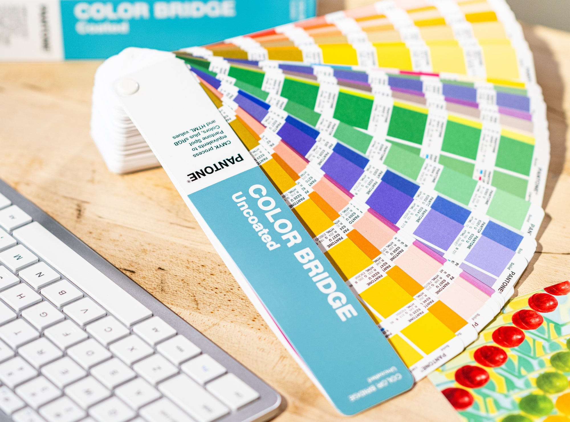 New Edition Essentials Guide Set
