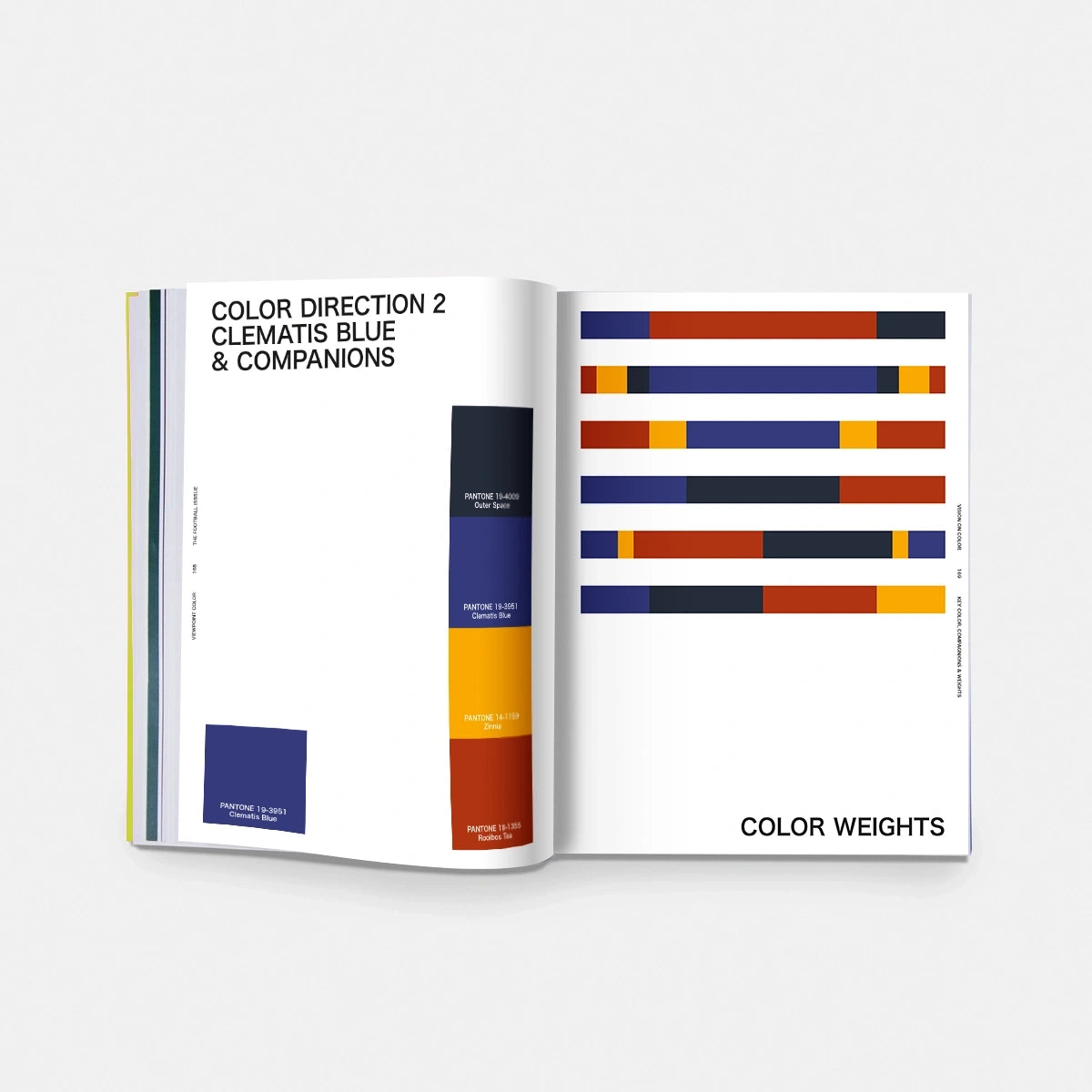 VIEWPOINT COLOUR Issue 19 - FOOTBALL
