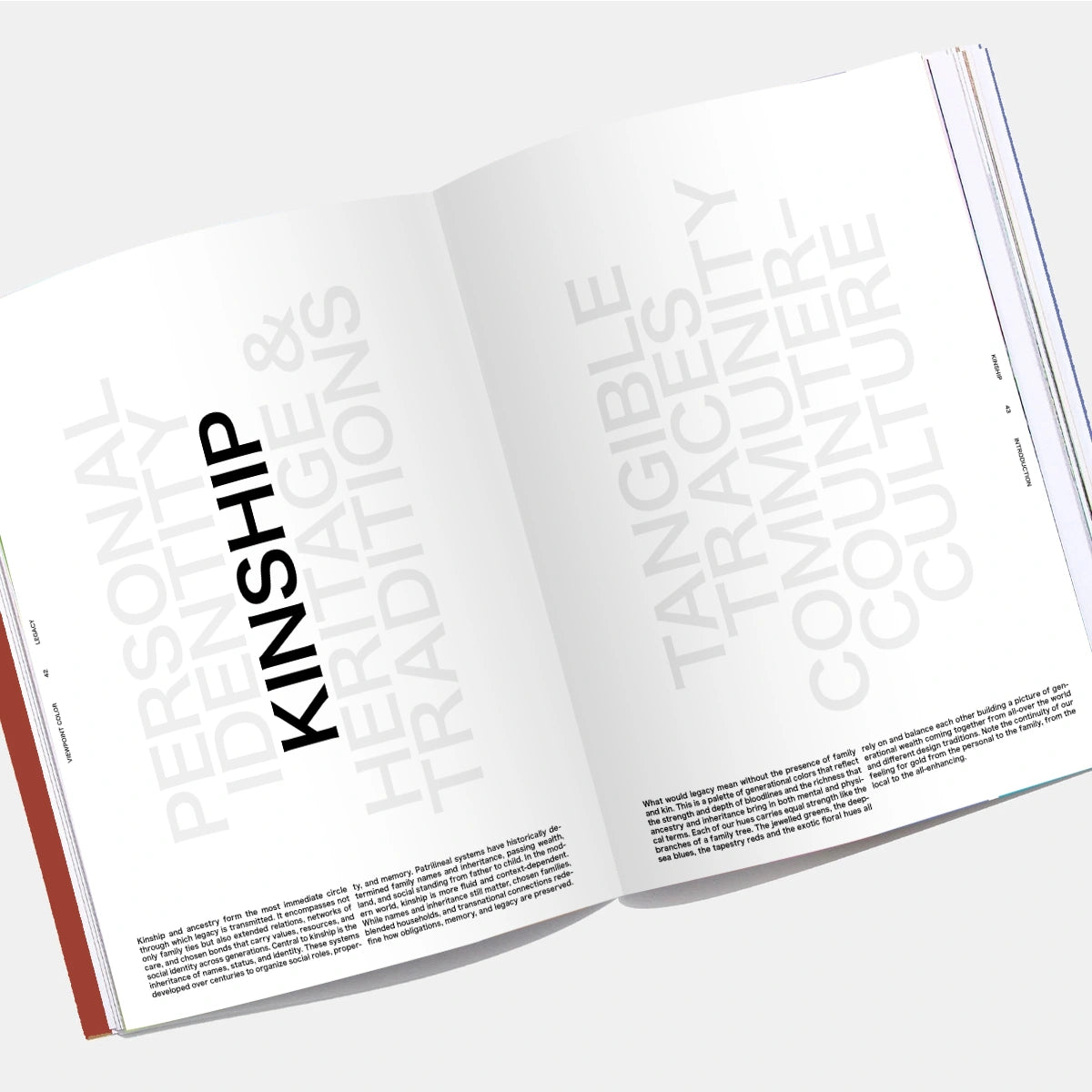 VIEWPOINT COLOUR Issue 18 - LEGACY (pre-order)
