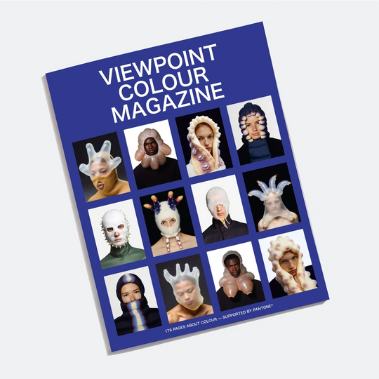 VIEWPOINT Color Issue 13 - Transformation