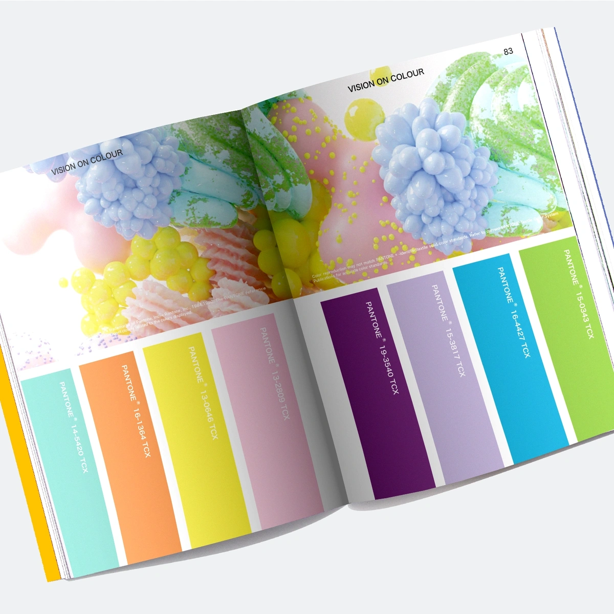 VIEWPOINT Color Issue 13 - Transformation