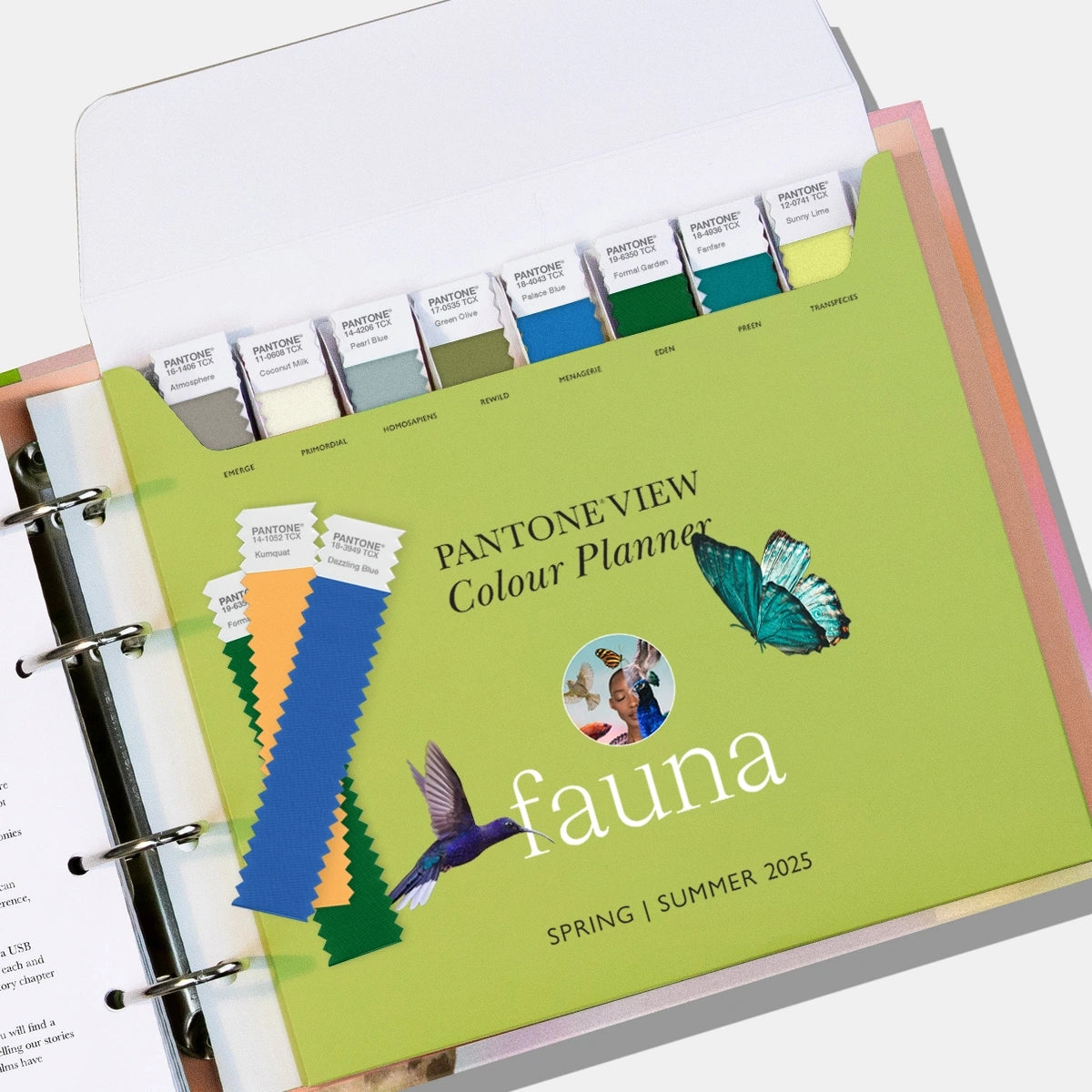 Pantone 2025 Spring