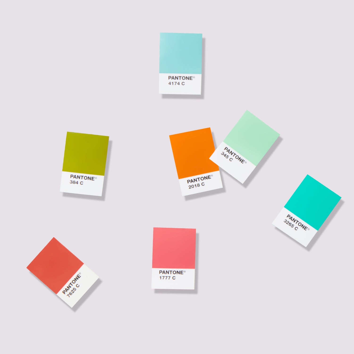 Solid Color Set - Formula Guide & Solid Chips | Coated & Uncoated