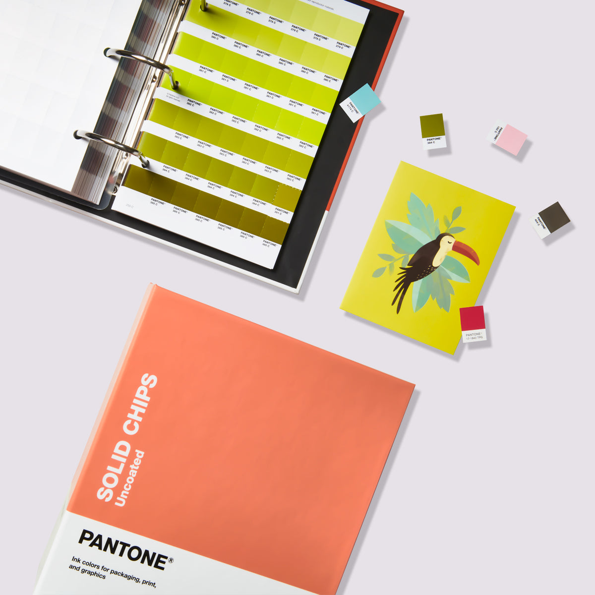 New Edition Solid Chips Set - Coated/Uncoated - Pantone