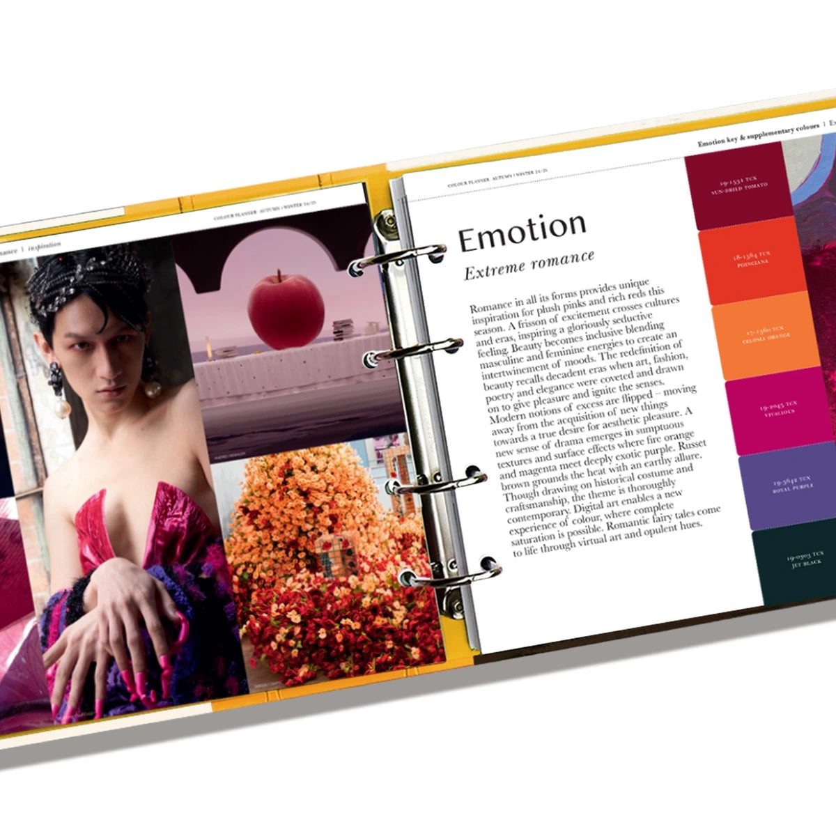 PANTONEVIEW Color Planner Autumn-Winter 2024